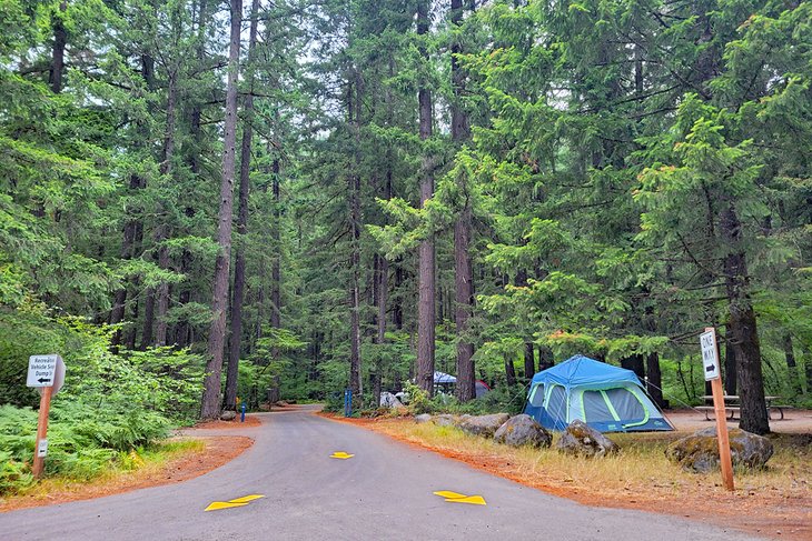 Swift Reservoir Camp