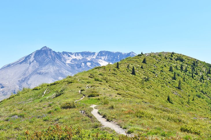 Harry's Ridge Trail