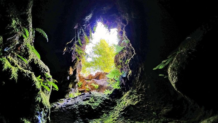 Cave opening at the end of the trail