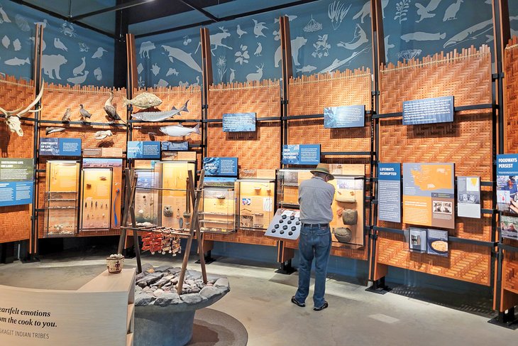 Exhibit at the Burke Museum of Natural History and Culture