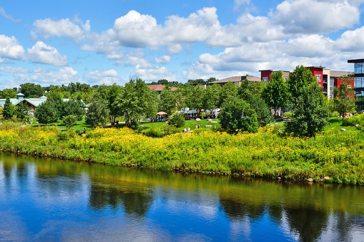 View of the farmers market in Eau Claire's Phoenix Park