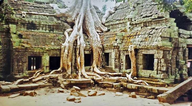Ruins at the Angkor Complex