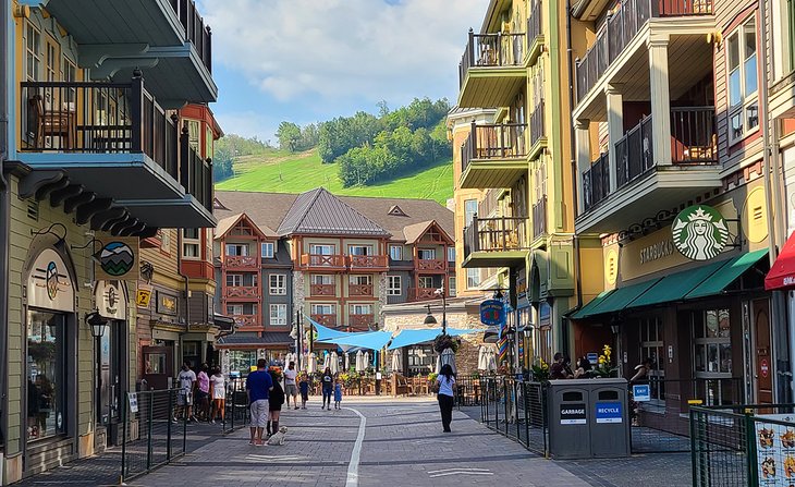 A street at the base of the hill in Blue Mountain