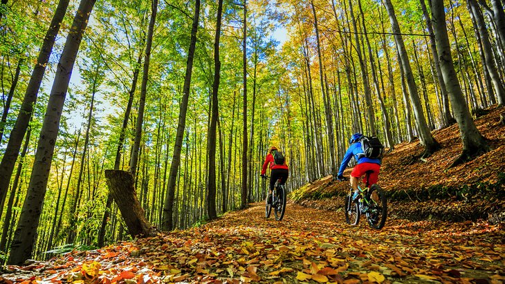 Autumn mountain biking