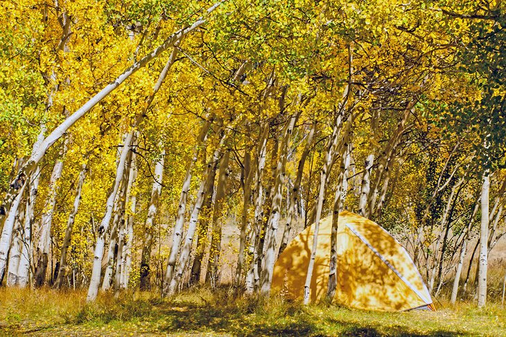 Los 10 mejores campamentos cerca de Breckenridge, CO