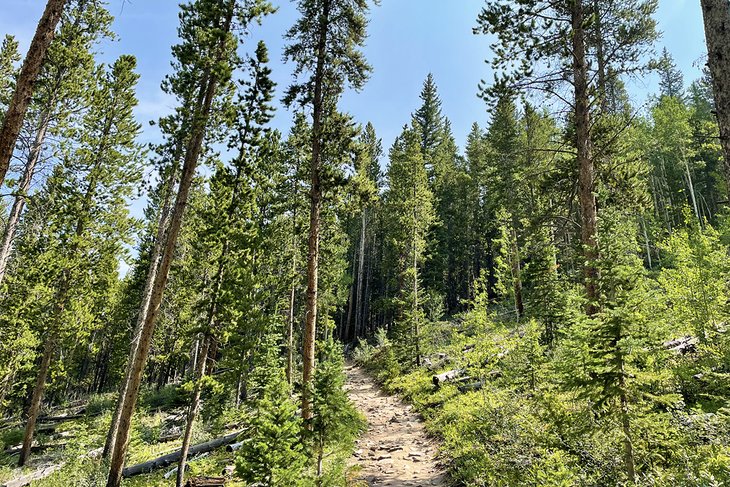 Bakers Tank Trail