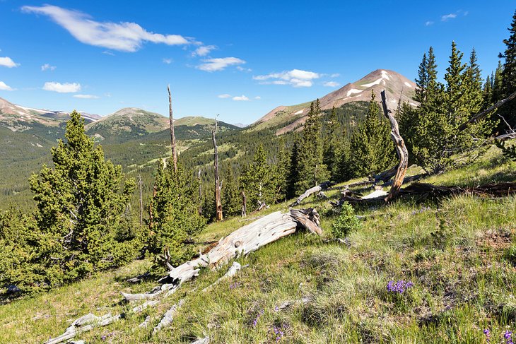 Boreas Pass