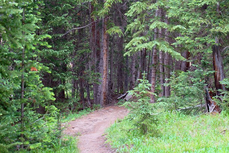 11 mejores caminatas en Breckenridge, CO