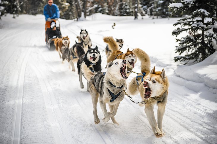 12 mejores cosas para hacer en Breckenridge, CO