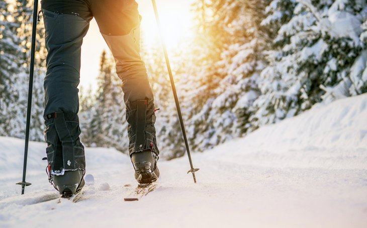 Cross-country skiing