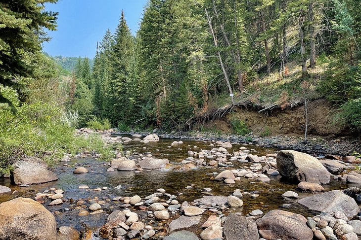 Mad Creek Trail