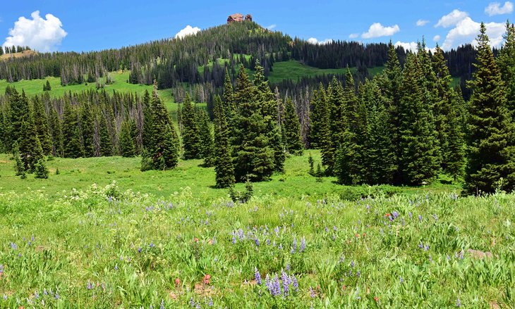 Rabbit Ears Peak Trail