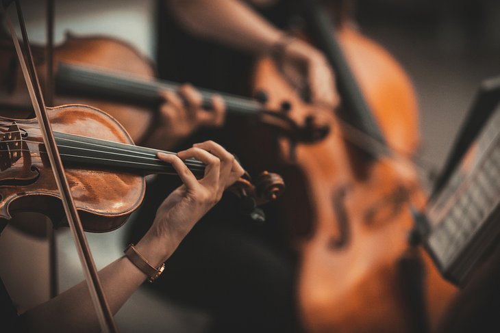 Violins in an orchestra