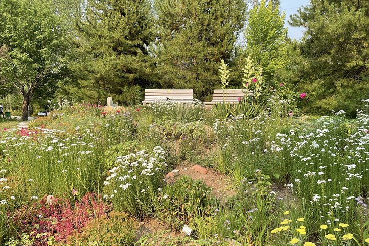 Yampa River Botanic Park | Photo Copyright: Meagan Drillinger