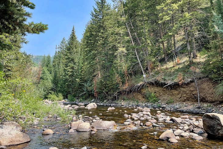 Medicine Bow-Routt National Forest | Photo Copyright: Meagan Drillinger