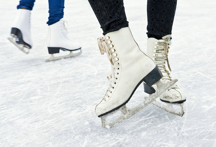 Ice skaters