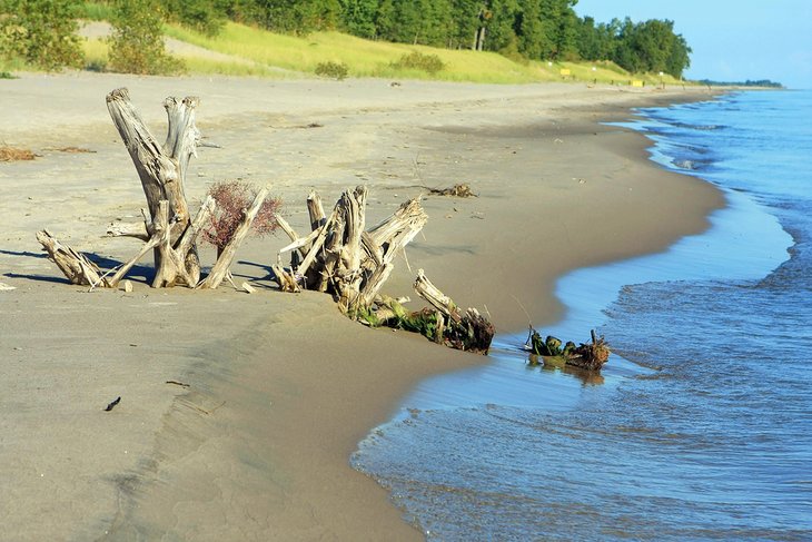 Las 11 mejores playas del marisma Erie