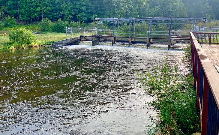 Little Manistee River Weir