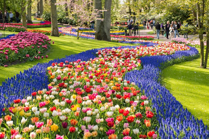 Flowerbeds at Keukenhof Gardens