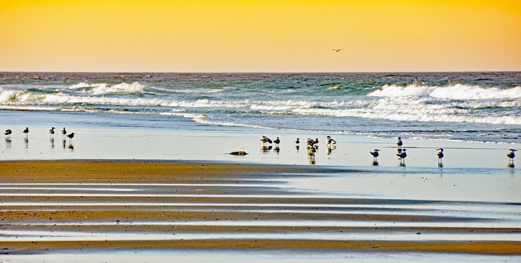 Las 10 mejores playas de los Outer Banks