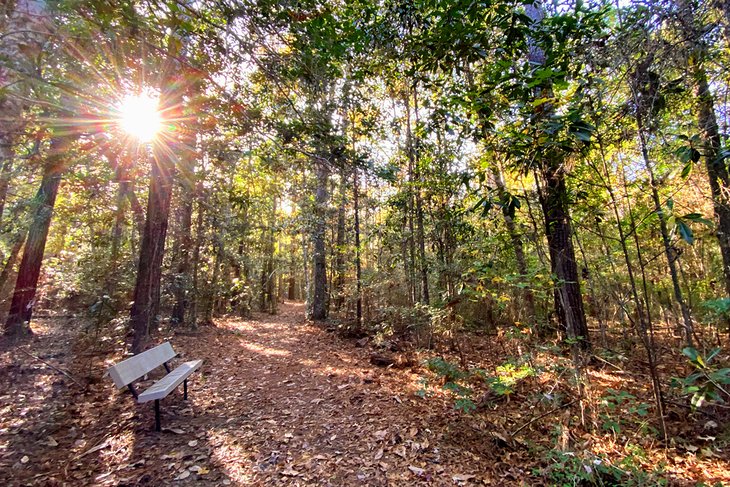 Big Thicket National Preserve