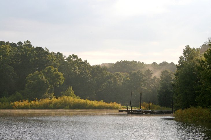 Lake O' The Pines