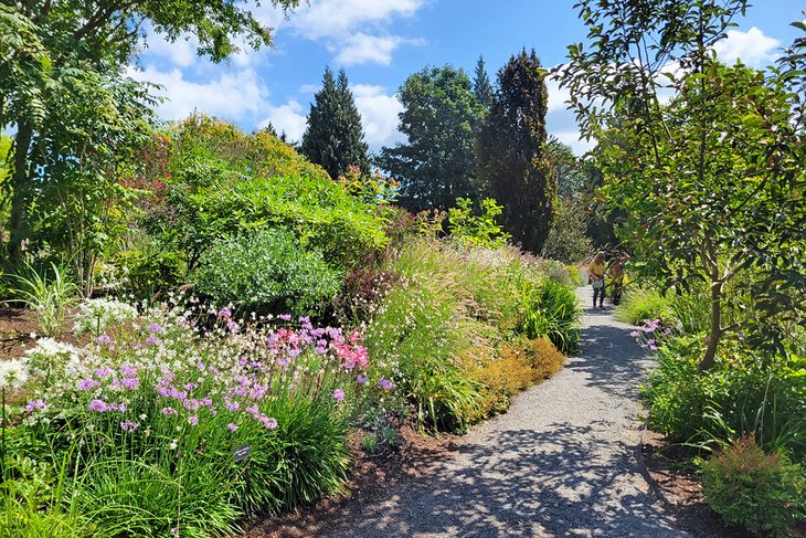 Bellevue Botanical Garden