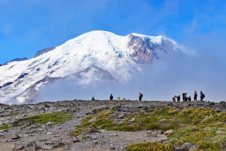 Mount Rainier National Park