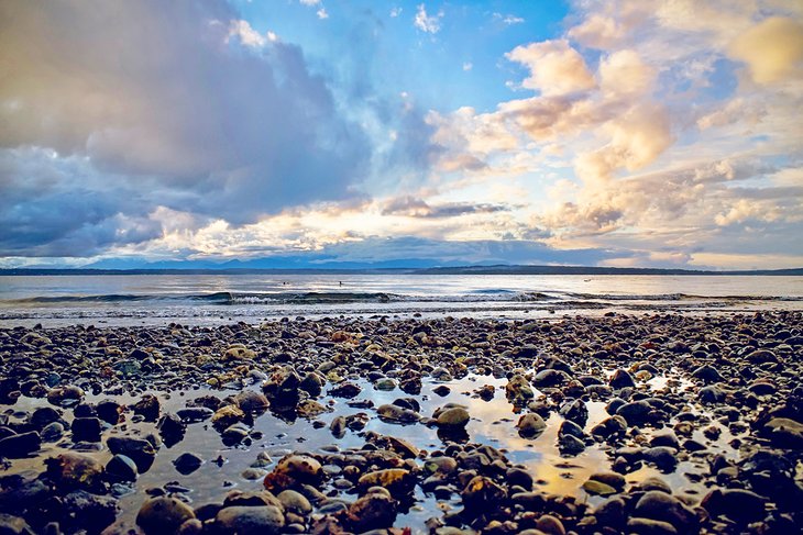 Carkeek Park