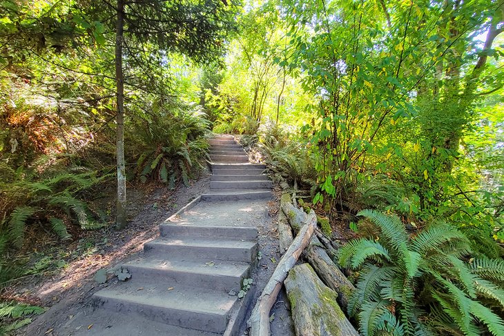 Trail in Discovery Park