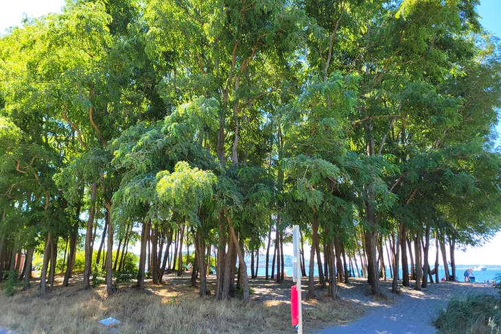 Golden Gardens Park