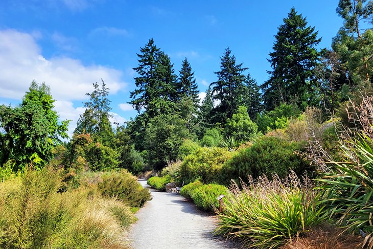 Path through Washington Park Arboretum