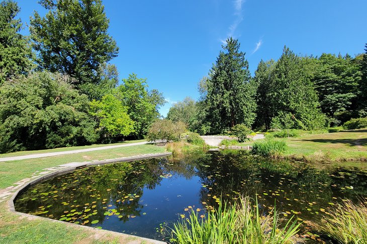 Étang à Washington Park Arboretum
