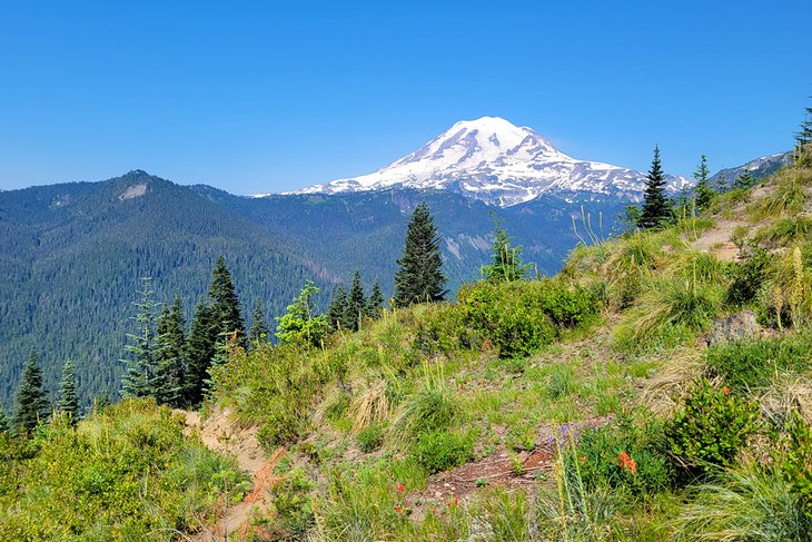 Mount Rainier in summer, approximately 60 miles southeast of Seattle