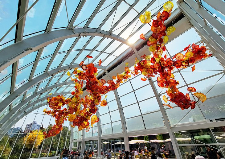 Greenhouse at the Chihuly Garden and Glass