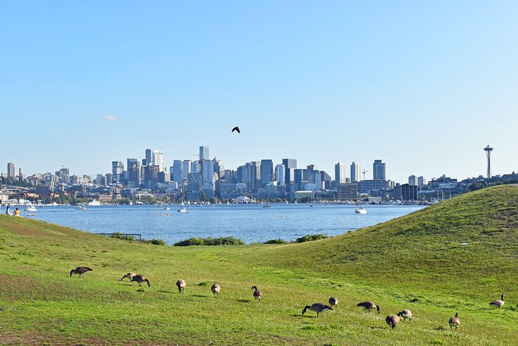 View of the Seattle skyline from Gas Works Park