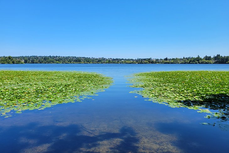 Green Lake