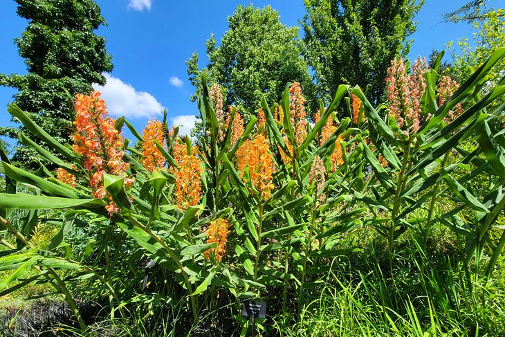 Bellevue Botanical Garden