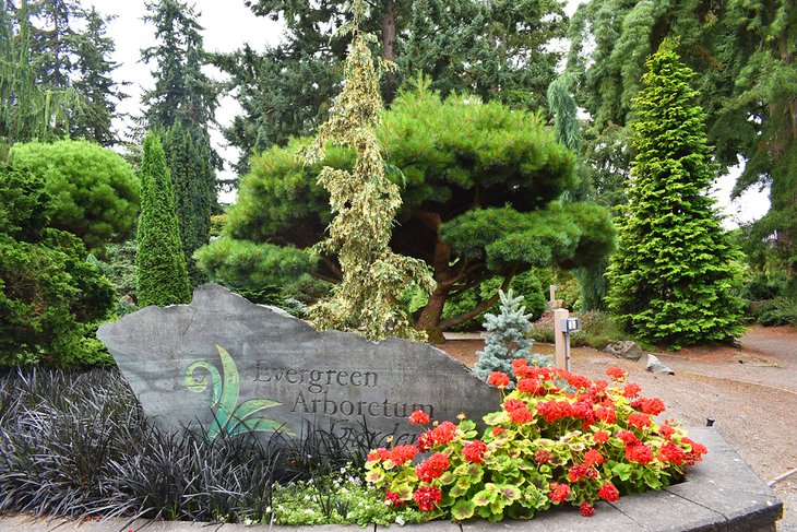 Everett Arboretum