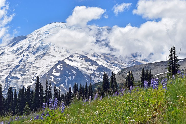 Mount Rainier National Park