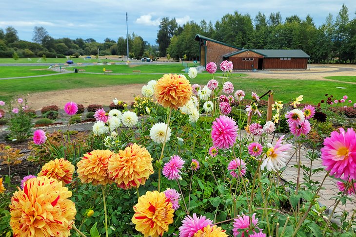 Carrie Blake Park