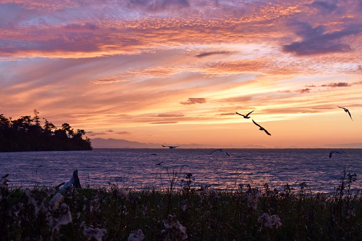 Sunset near Dungeness Recreation Area