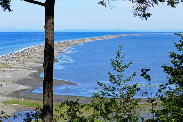 Dungeness Spit