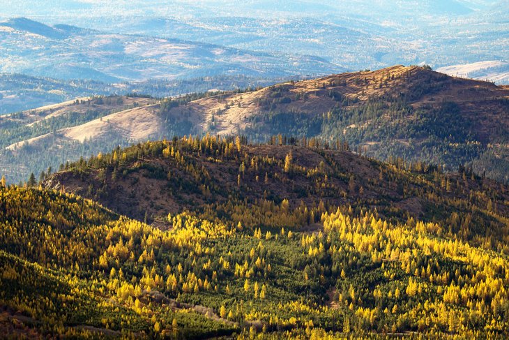 6 mejores bosques nacionales en el estado de Washington