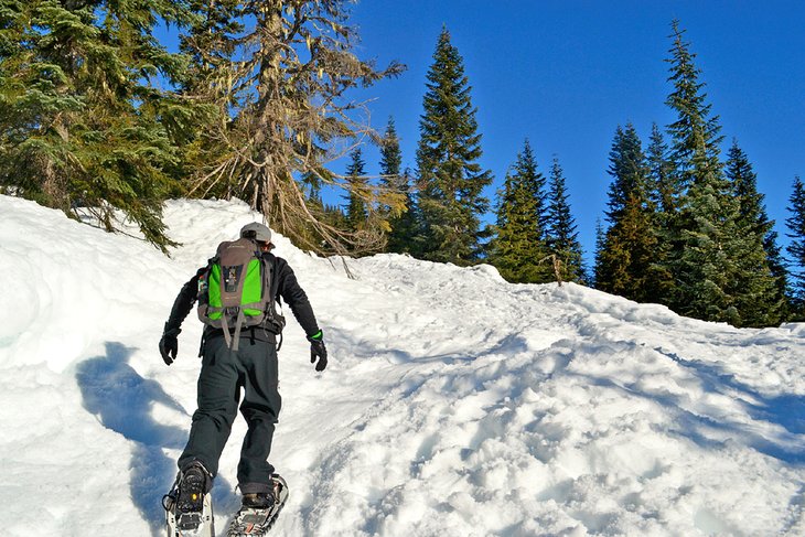 Mt. Baker-Snoqualmie National Forest in winter