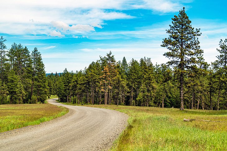 6 mejores bosques nacionales en el estado de Washington