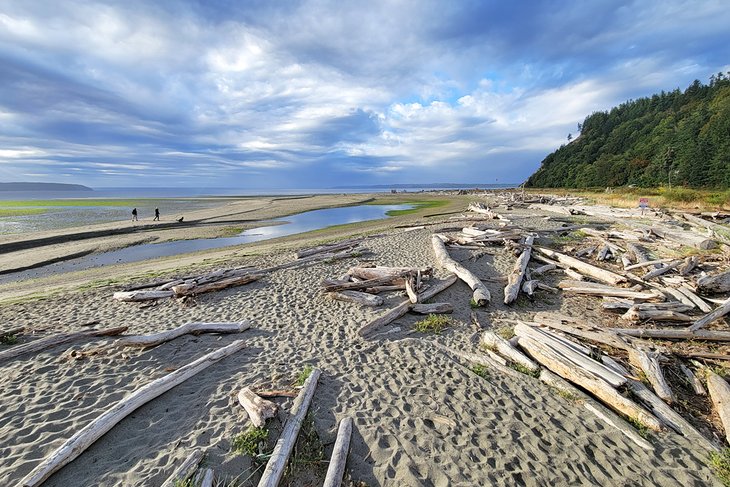 Double Bluff Beach