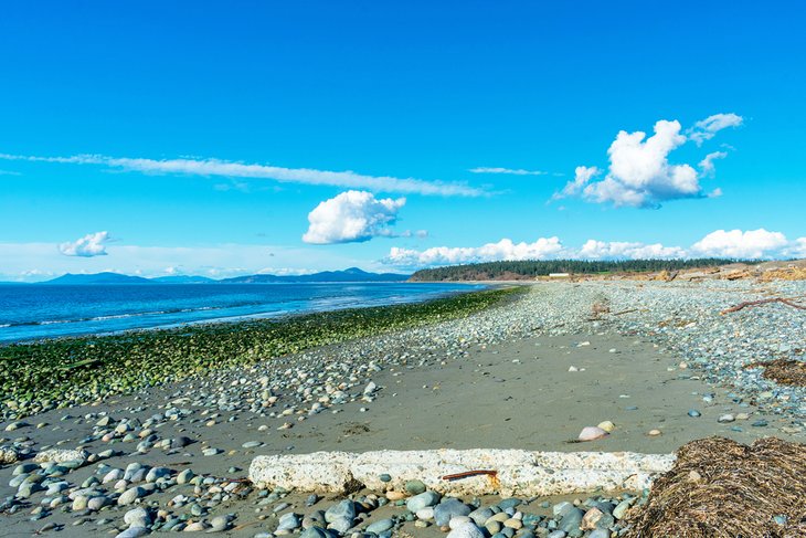 Joseph Whidbey State Park