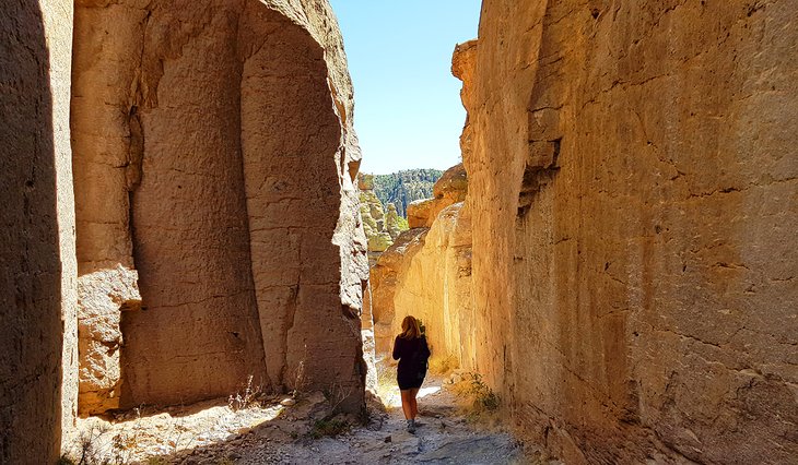 Lana Law on a hiking trail in Chiricahua National Monument