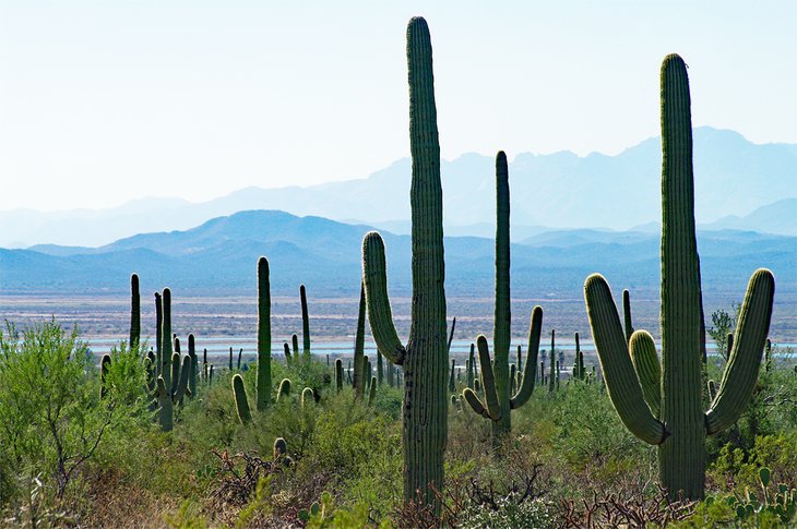 10 mejores parques nacionales y monumentos en Arizona